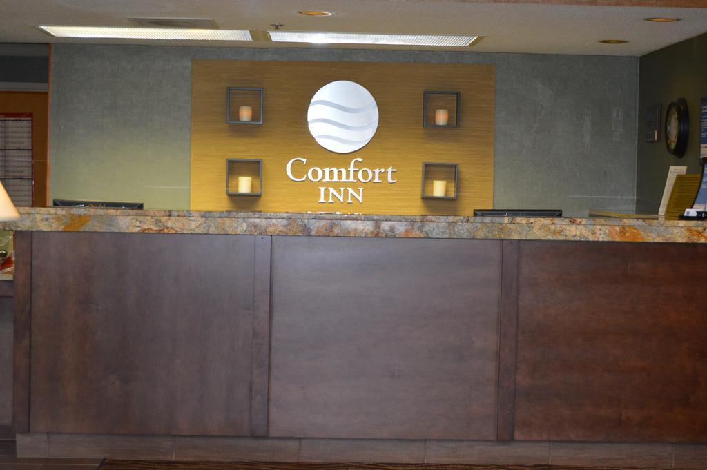 Comfort Inn Pine Grove I-81 Hershey Area Екстериор снимка