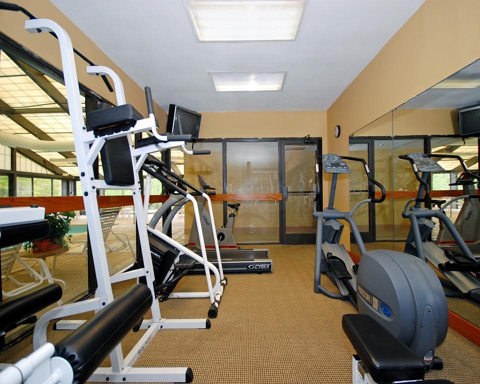 Comfort Inn Pine Grove I-81 Hershey Area Екстериор снимка