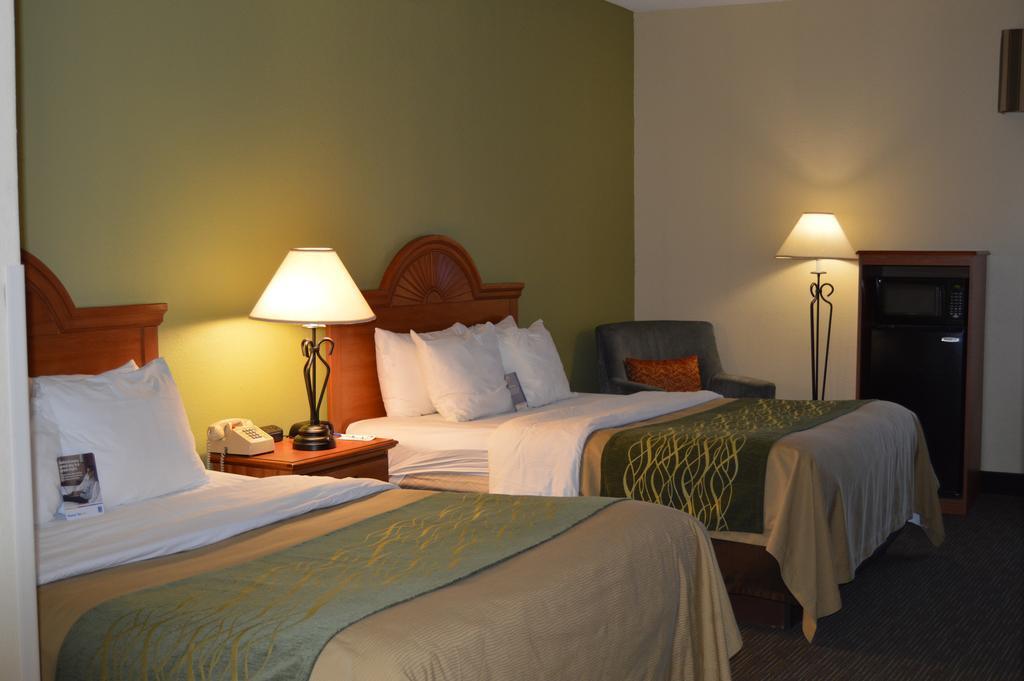 Comfort Inn Pine Grove I-81 Hershey Area Екстериор снимка