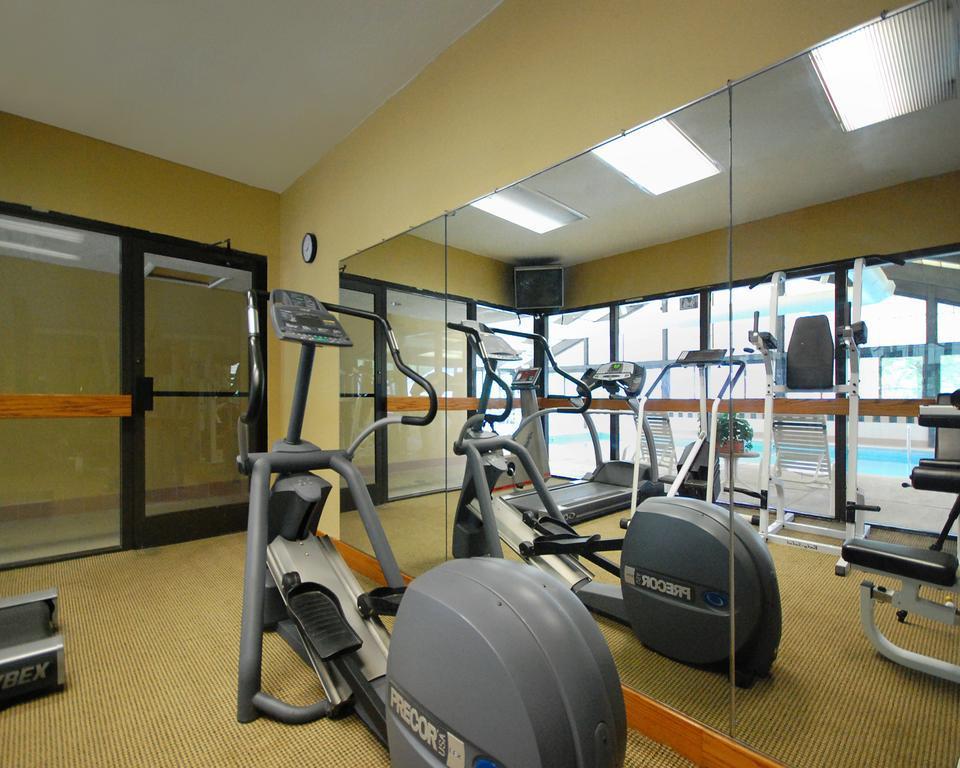 Comfort Inn Pine Grove I-81 Hershey Area Екстериор снимка
